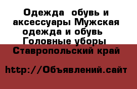 Одежда, обувь и аксессуары Мужская одежда и обувь - Головные уборы. Ставропольский край